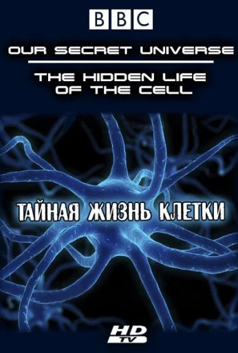 Внутренняя вселенная: Тайная жизнь клетки (2012) онлайн бесплатно